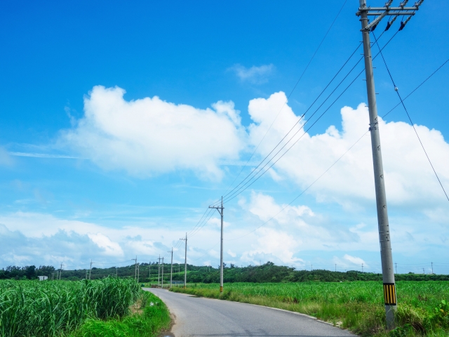 ���Ɨ��s�ŗ���